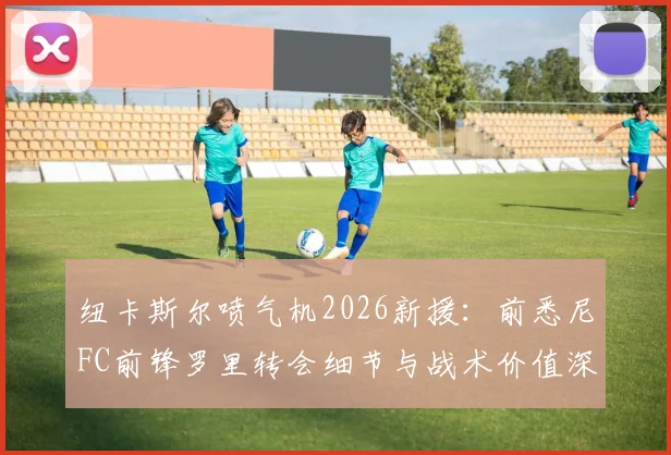 纽卡斯尔喷气机2026新援：前悉尼FC前锋罗里转会细节与战术价值深度分析